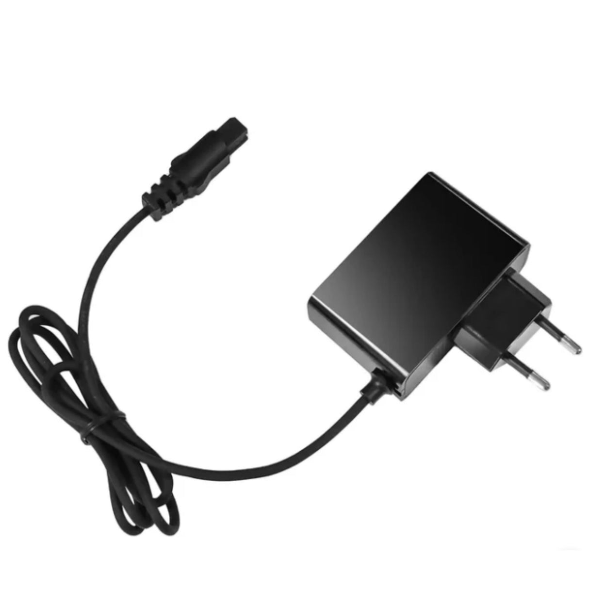 WYBOT F1 Skimmer - Ladegerät