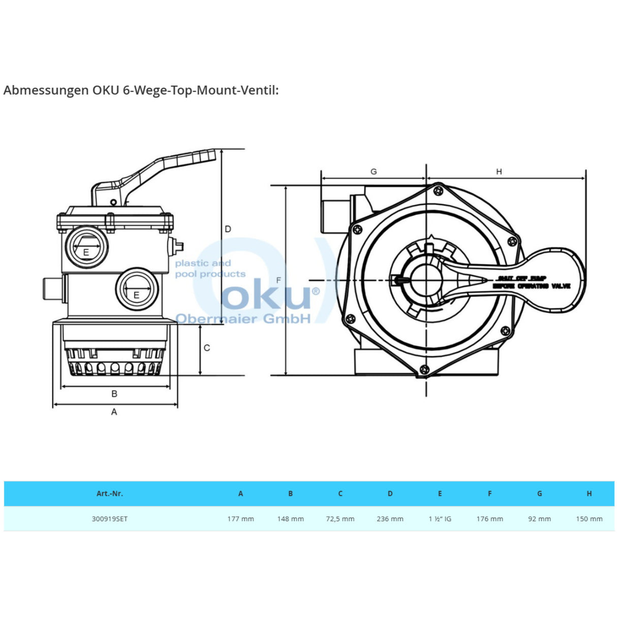 Vanne 6 voies montage sur le dessus 1 1/2" OKU