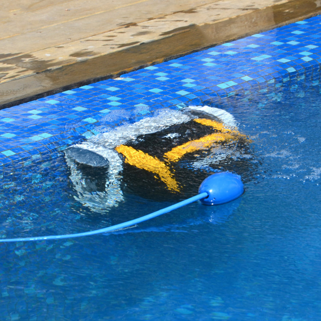 Poolroboter Dolphin E20 Wand- und Bodenreiniger - B-Ware