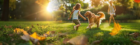 Herbstliche Rasenpflege – Der Schlüssel zu einem kräftigen Start ins neue Gartenjahr