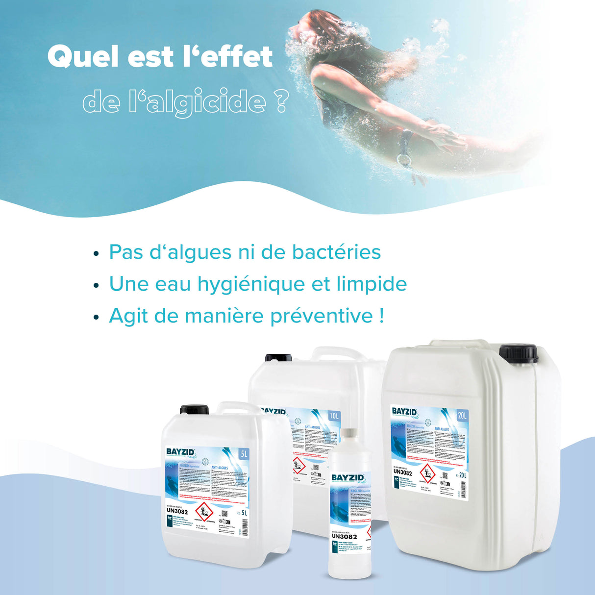 1 L BAYZID® Algizid Algenverhütung