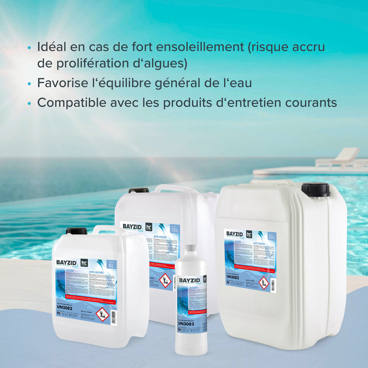 5 L BAYZID® Algicide Prévention des algues