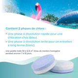 1 kg BAYZID® 2-Phasen-Multitabs 6in1, 200g
