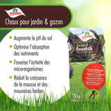 15 kg VERDURMAX® Chaux pour jardin et gazon 