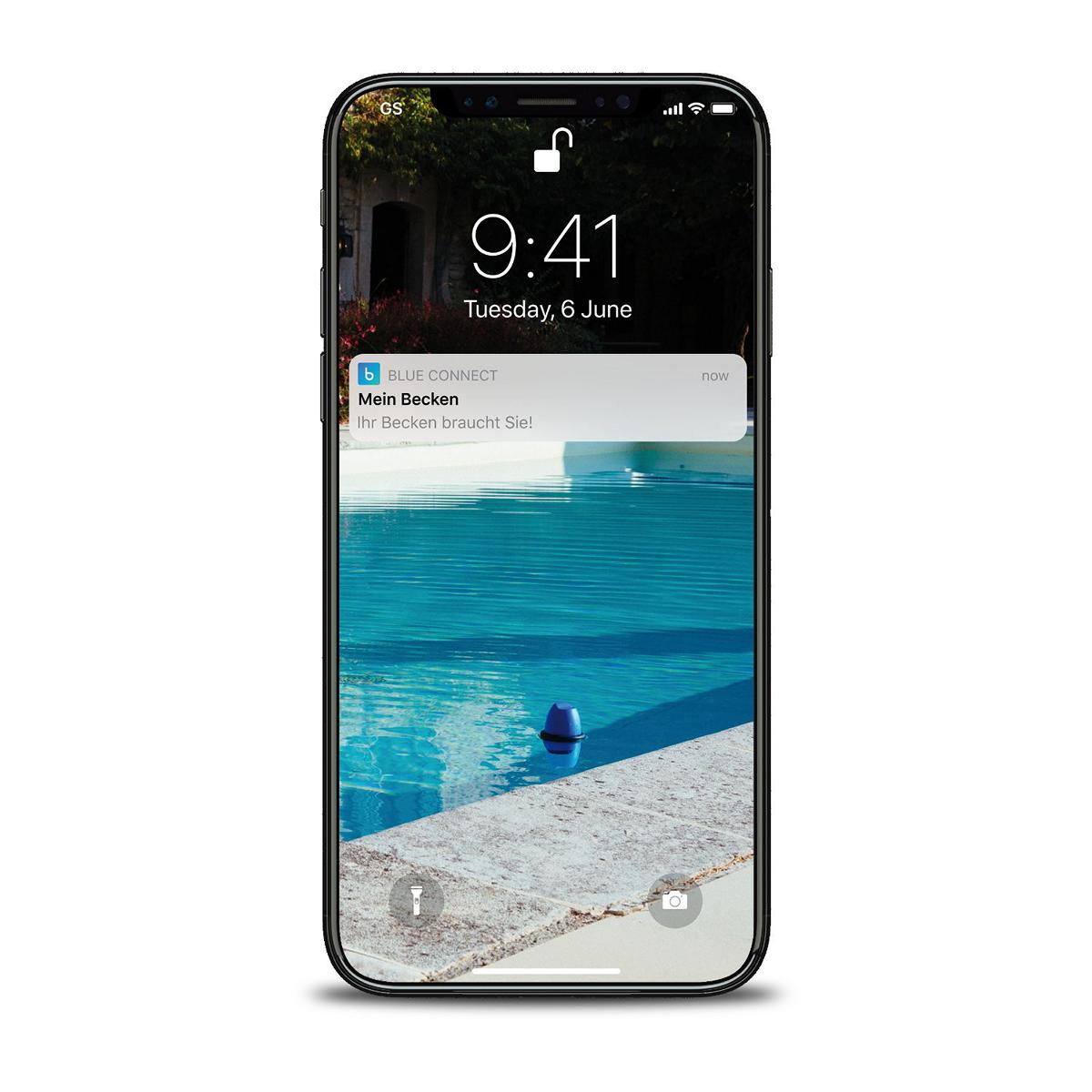 Blue Connect Plus Salt (Gold) - Analyseur d'eau intelligent
