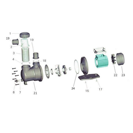 Insert transparent pour pompes SPS
