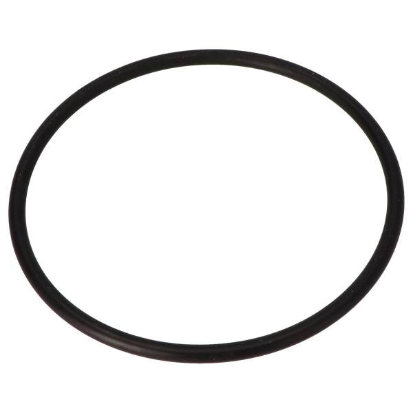 O-Ring für Klarsichteinsatz 105 x 5 mm